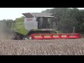 LEXION 670 TT. The right decision. / 2013