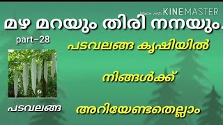 പടവലങ്ങ കൃഷി- നിങ്ങൾക്ക് അറിയേണ്ടത്/padavalanga krishi/snakegourd