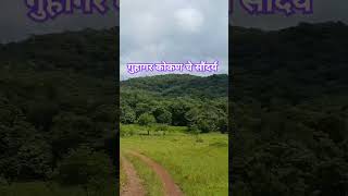 गुहागर तालुक्यातील माझे गाव #shortfeed #kokan #guhagar #kokanikarti