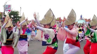 2019.04.28東京高圓寺阿波舞台灣公演-松山慈惠堂(日場) 阿波踊り Awa Dance Festival