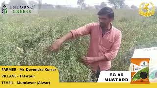 Farmer review on our Research Mustard EG 46 !!!