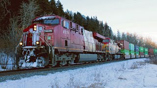 RARE! CP 8876 ex-Olympic unit leading CP stack train near Sunalta on the Laggan subdivision.