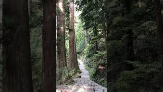 【 Murouji Temple Okunoin　Nara　室生寺　奥の院　奈良県宇陀市】#shorts