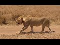 top 10 natural wonders in the africa travel guide video