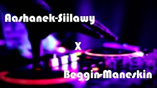 Aashanek-Siilawy X Beggin-Maneskin