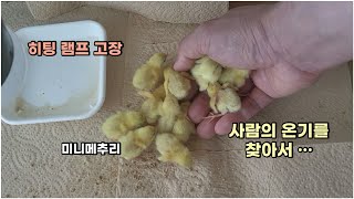 사람의 온기를 찾아서