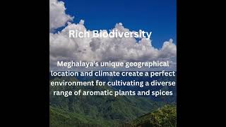 Why Meghalaya?