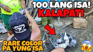 PAKYAW KALAPATI SOBRANG MURA 100 LANG ISA! DAMI KONG BINILI MAY RARE COLOR PA JACKPOT!