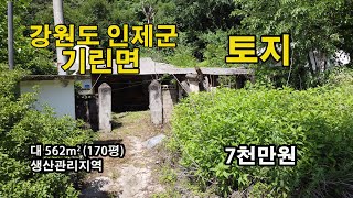 강원도 인제군 내린천을 바라보는 관리하기 딱!좋은 대지170평 7000만원