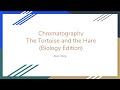 Chromatography: The Tortoise and the Hare (Biology Edition)