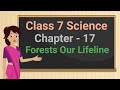 Class 7 Science Chapter 17 'Forests Our Lifeline' (full chapter) cbse ncert