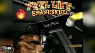 Shane Skull - Feel like (Official Audio)