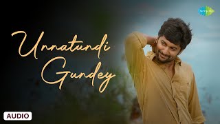 Unnatundi Gundey - Audio Song | Ninnu Kori | Gopi Sunder | Chinmayi Sripaada,Karthik