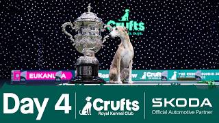 Day 4 Live 🔴 | Crufts 2026