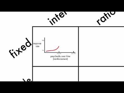 What is a fixed ratio?