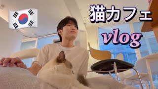 韓国人大学生の猫カフェVlog