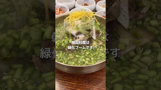 【韓食日記】東京・新大久保「ミシクタン」でセリ入りのカルビタン\u0026サムゲタン　#韓国グルメ #韓国料理 #新大久保 #ミシクタン #美食堂 #ミナリ #カルビタン #サムゲタン