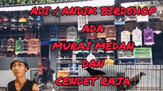 READY STOK !! ada murai medan,,cendet raja,,jagal papua dll