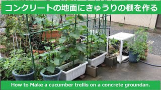 コンクリートの地面にきゅうりの棚を作る方法ーきゅうりの簡単棚づくり　How to Make a cucumber trellis on a concrete groundan.