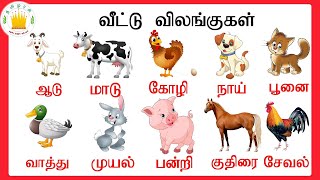 தமிழரசி-வீட்டு விலங்குகள்| Veetu Vilangugal | Farm animal names for kids in Tamil | Adipadai Tamil