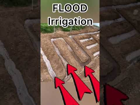 Which type of farming is practiced in scanty rainfall areas?