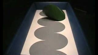 rolling Oloid