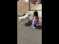 赤ちゃんと犬