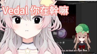 【中文字幕】差點被自己做的AI陷害進監獄的Vedal【Anny】【VTuber】