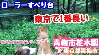 【愛犬とお出かけシリーズ】Vol.7 青梅市花木園@東京都青梅市 東京で1番長いローラーすべり台