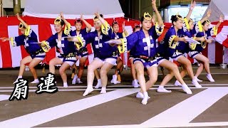 鳴門市阿波おどり2018　扇連 ♪　西おどり広場