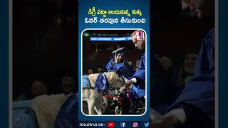 డిగ్రీ పట్టా అందుకున్న కుక్క..ఓనర్ తరుపున తీసుకుంది | Dog Received Degree Certificate | 4 Sight News