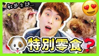 MUFFIN牛肉敏感之謎？🤔把「這個」風乾原來超好吃🤤 ！？【🐶特別狗零食#4】(中字)