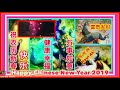 恭喜发财 cny 2019 lunar new year animated greeting e card 猪年新春动画贺年卡2019