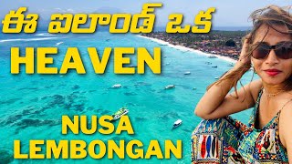 ఈ ఐలాండ్ ఒక heaven | Nusa lembongan and cenengan islands