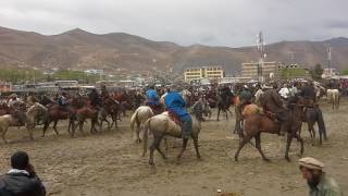 مسابقه بزکشی در بدخشان