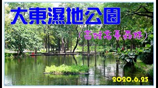 大東濕地公園高雄忘憂森林2020 6 25