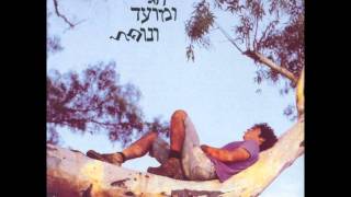 מאיר אריאל - טרמינל לומינלט