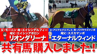 【報告】共有馬購入！！新しいお馬さんを皆様へ紹介します！