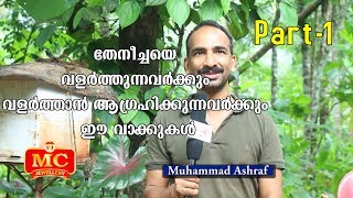 തേനീച്ചയെ വളര്‍ത്തുന്നവര്‍ക്കും വളര്‍ത്താന്‍ ആഗ്രഹിക്കുന്നവര്‍ക്കും ഈ വാക്കുകള്‍ | Indian Honeybee