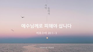 예수님께로 피해야 삽니다 | 새벽돌베개 설교 l 2025년 1월 30일