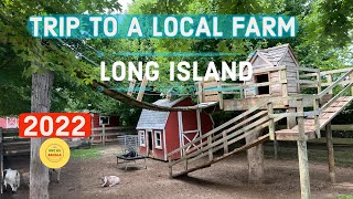 Trip to a local Farm, Long Island, New York, USA.