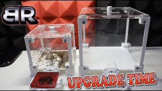 Upgrading My Crematogaster Scutellaris