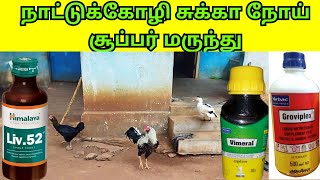 நாட்டுக்கோழி சுக்கா நோய் மருந்து/nattukozli sukka noi marunthu/nattukozli valarpu