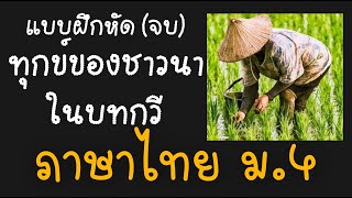 แบบฝึกหัดทุกข์ของชาวนาในบทกวี ภาษาไทย ม.4 ข้อ 28-30