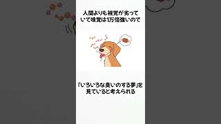 犬のすごい雑学5 #面白い #トリビア #雑学 #豆知識 #1分 #shorts