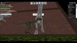 Playtubepk Ultimate Video Sharing Website - 