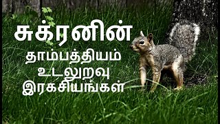 சுக்ரன் தரும் இல்லறம் | Sukran gives bed plessure sexual happiness love life | Learn astrology tamil