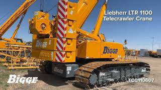 2020 LIEBHERR LTR1100 For Sale