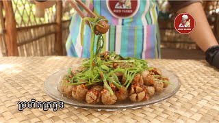 របៀបធ្វើប្រហិតត្រកួន🧆 Soem Vansin