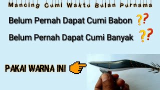 Warna Udang Terampuh Di Pakai Waktu Bulan Purnama-Angler Cumi